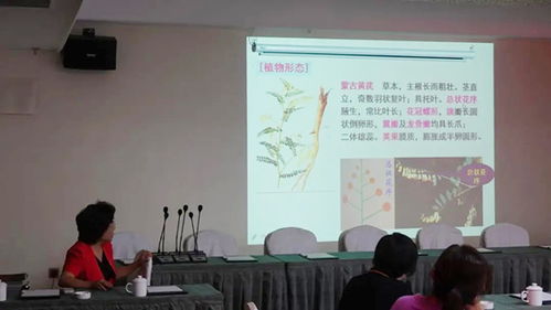 科技創新的引擎 —— 北京企業技術開發研究所以卓越開發引領行業前行
